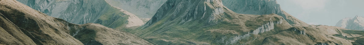 AlpinPure